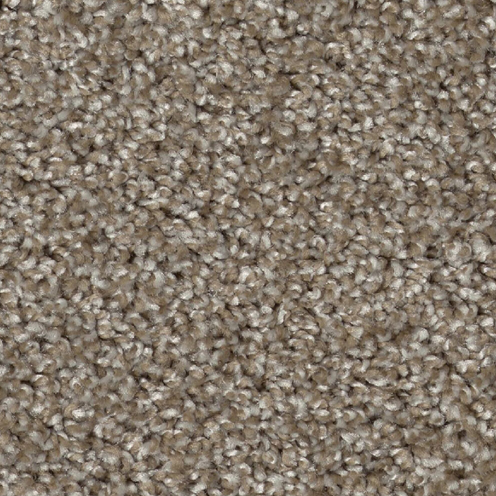 Carpet: Canyon Cove