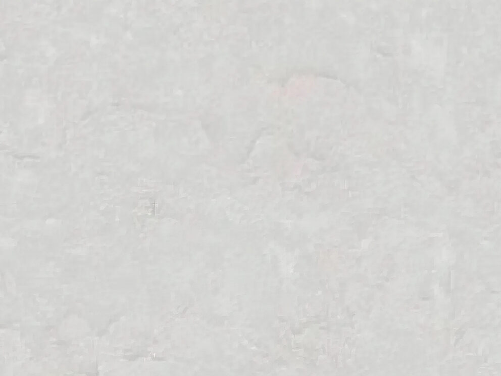 Kitchen countertops: Quartz Frost